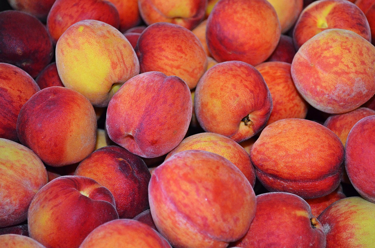 peach, fruit, food, peach fruit, fruit platter, peaches, nature, vitamins, red, sad, the cultivation of, compote, jam, peach, peach, peach, peach, peach, peaches, peaches, peaches