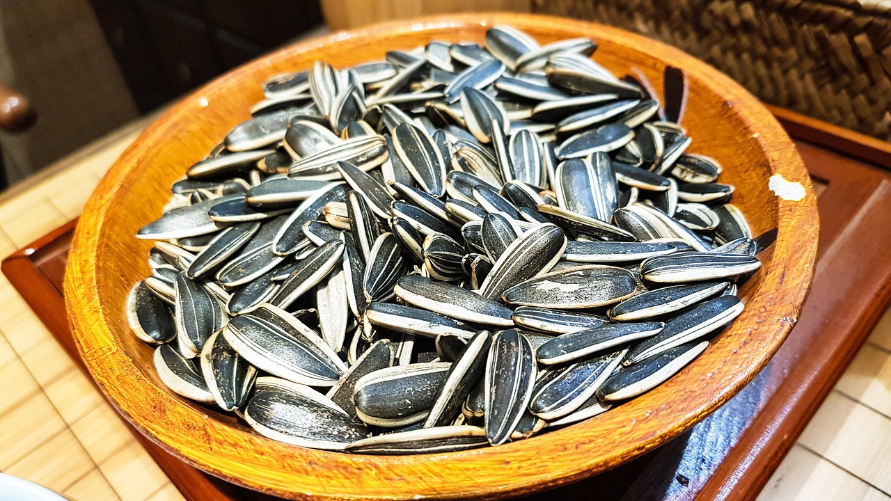 sunflower seed, nature, seed, sunflower, plant, china