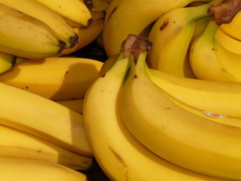 banana, fruit, healthy, yellow, tropical, food, banana tree, shrub, bananas, fruity, banana, banana, banana, banana, banana, bananas