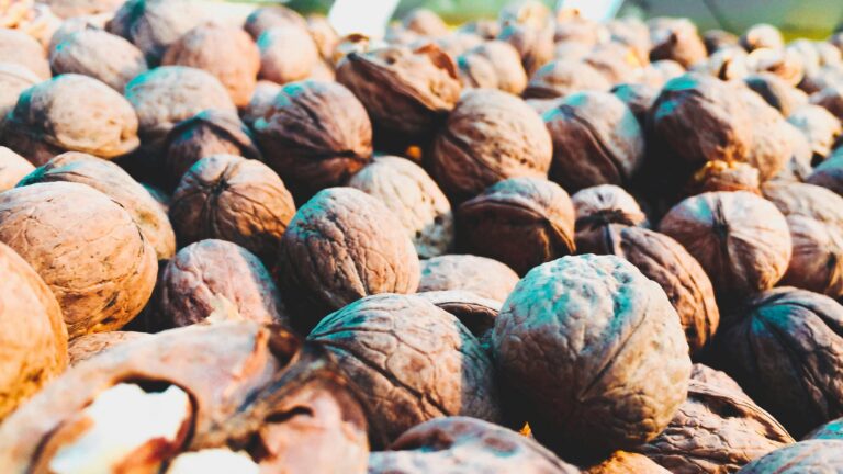 A detailed shot of numerous whole walnuts in their shells, showcasing texture.